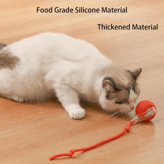 Interactive Smart Rolling Pet Ball